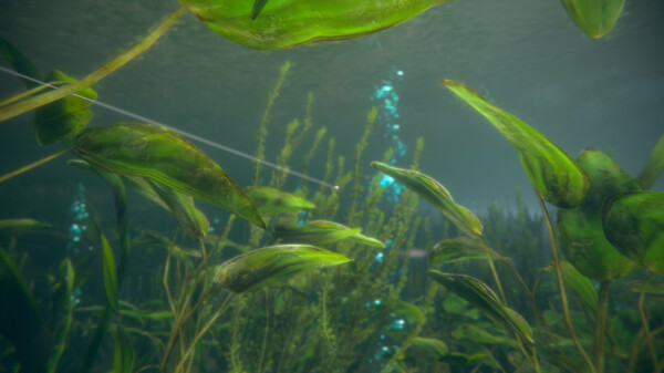 Ultimate Fishing® Simulator 2 Screenshots pantalla 20 de 27 (game): Gameplay
