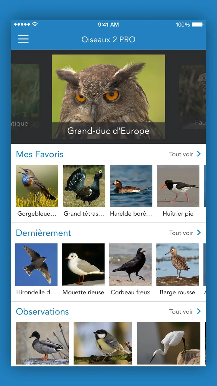 Oiseaux 2 PRO App Store tela 7 de 7 (store): App Store